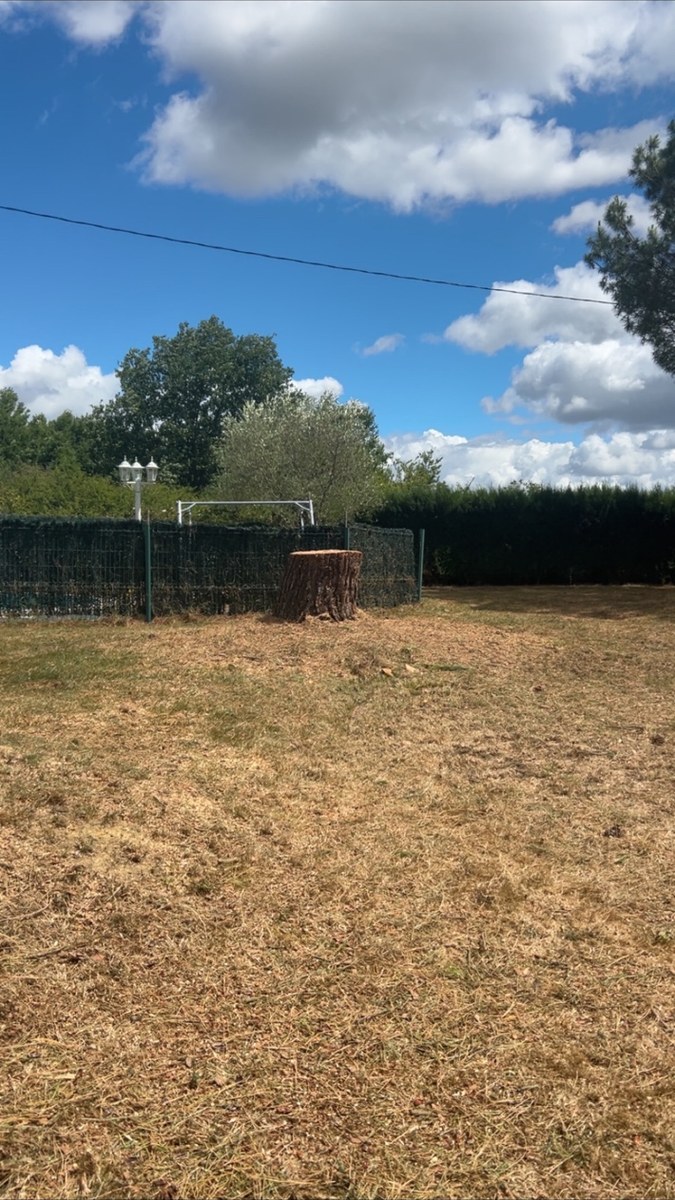 Après travaux d'élagage